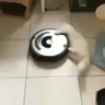 R4ftyy