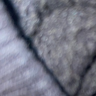 kamala_123121